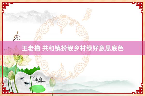 王老撸 共和镇扮靓乡村绿好意思底色