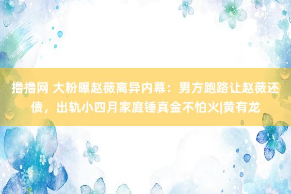 撸撸网 大粉曝赵薇离异内幕：男方跑路让赵薇还债，出轨小四月家庭锤真金不怕火|黄有龙