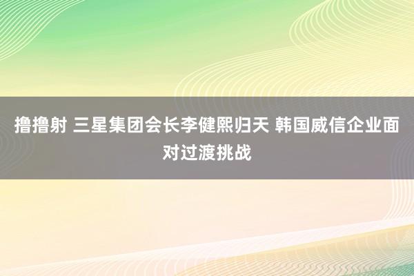 撸撸射 三星集团会长李健熙归天 韩国威信企业面对过渡挑战
