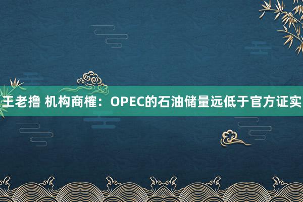王老撸 机构商榷：OPEC的石油储量远低于官方证实