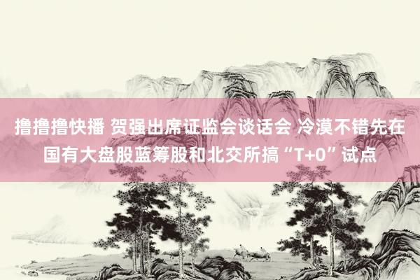 撸撸撸快播 贺强出席证监会谈话会 冷漠不错先在国有大盘股蓝筹股和北交所搞“T+0”试点