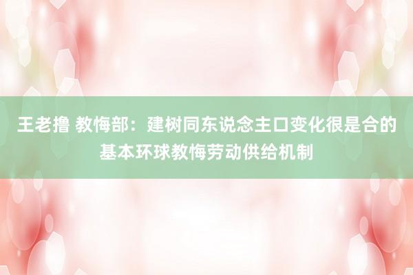 王老撸 教悔部：建树同东说念主口变化很是合的基本环球教悔劳动供给机制