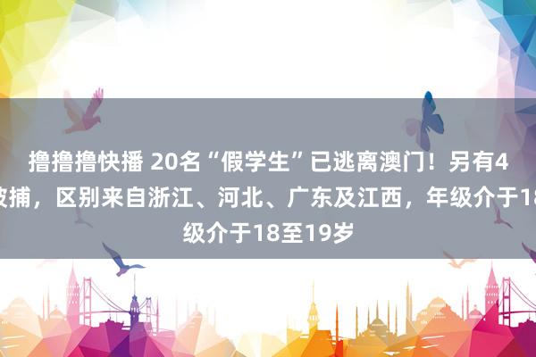 撸撸撸快播 20名“假学生”已逃离澳门！另有4东谈主被捕，区别来自浙江、河北、广东及江西，年级介于18至19岁