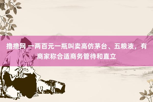 撸撸网 一两百元一瓶叫卖高仿茅台、五粮液，有商家称合适商务管待和直立