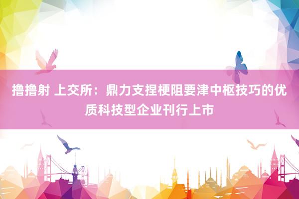 撸撸射 上交所：鼎力支捏梗阻要津中枢技巧的优质科技型企业刊行上市