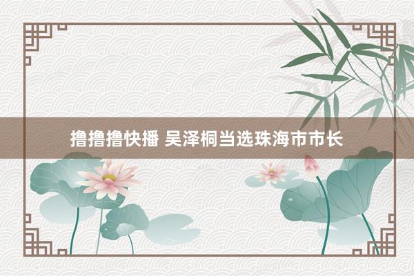 撸撸撸快播 吴泽桐当选珠海市市长