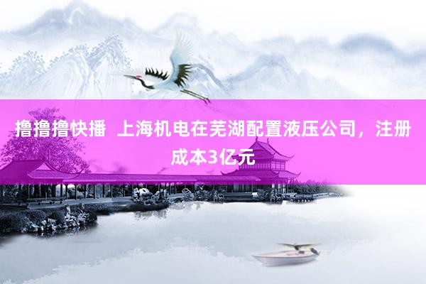 撸撸撸快播  上海机电在芜湖配置液压公司，注册成本3亿元