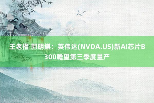 王老撸 郭明錤：英伟达(NVDA.US)新AI芯片B300瞻望第三季度量产